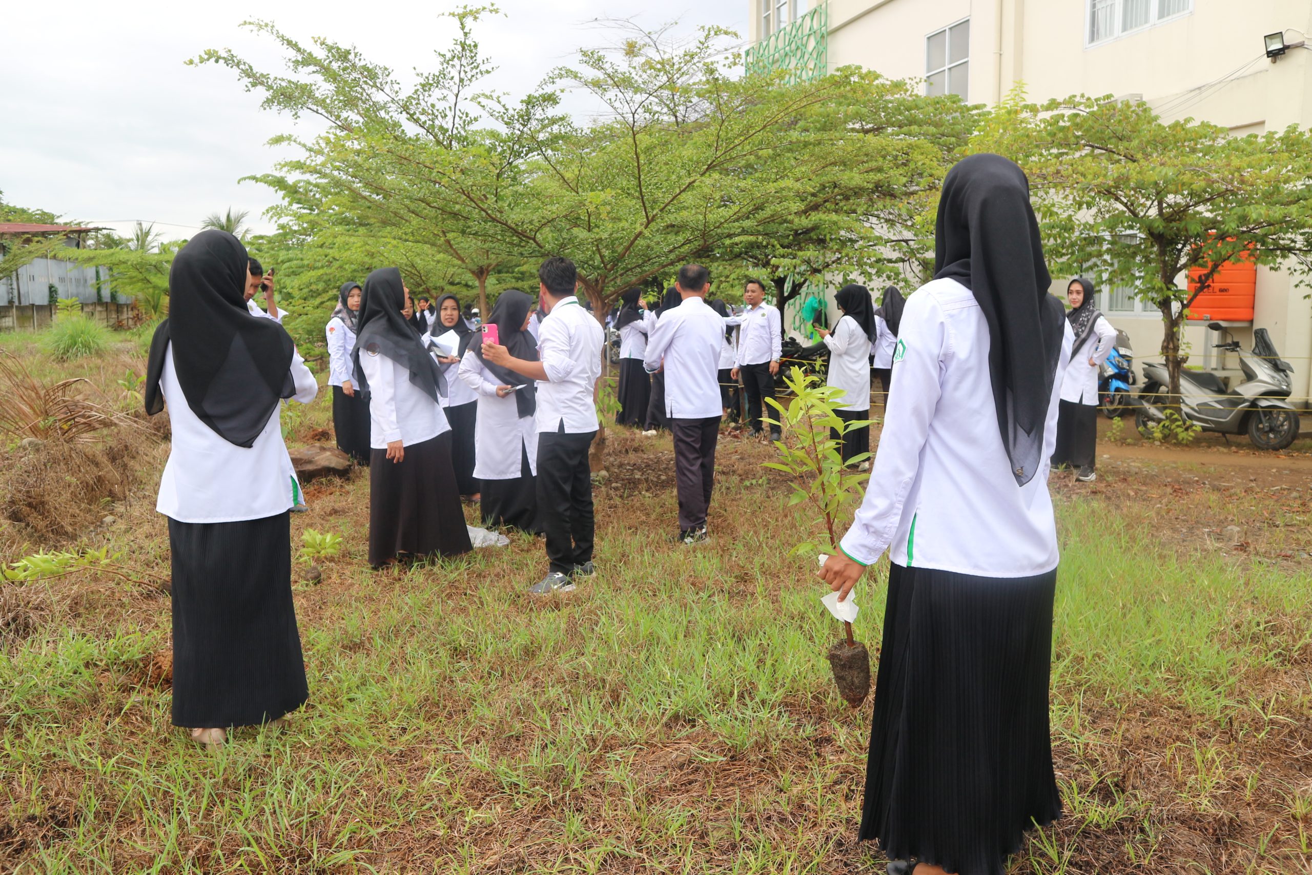 Penanaman Bibit Pohon Serentak oleh Peserta PPPK Tahap 1 di UIN Palopo: Implementasi Penguatan Ekoteologi Gagasan Menteri Agama